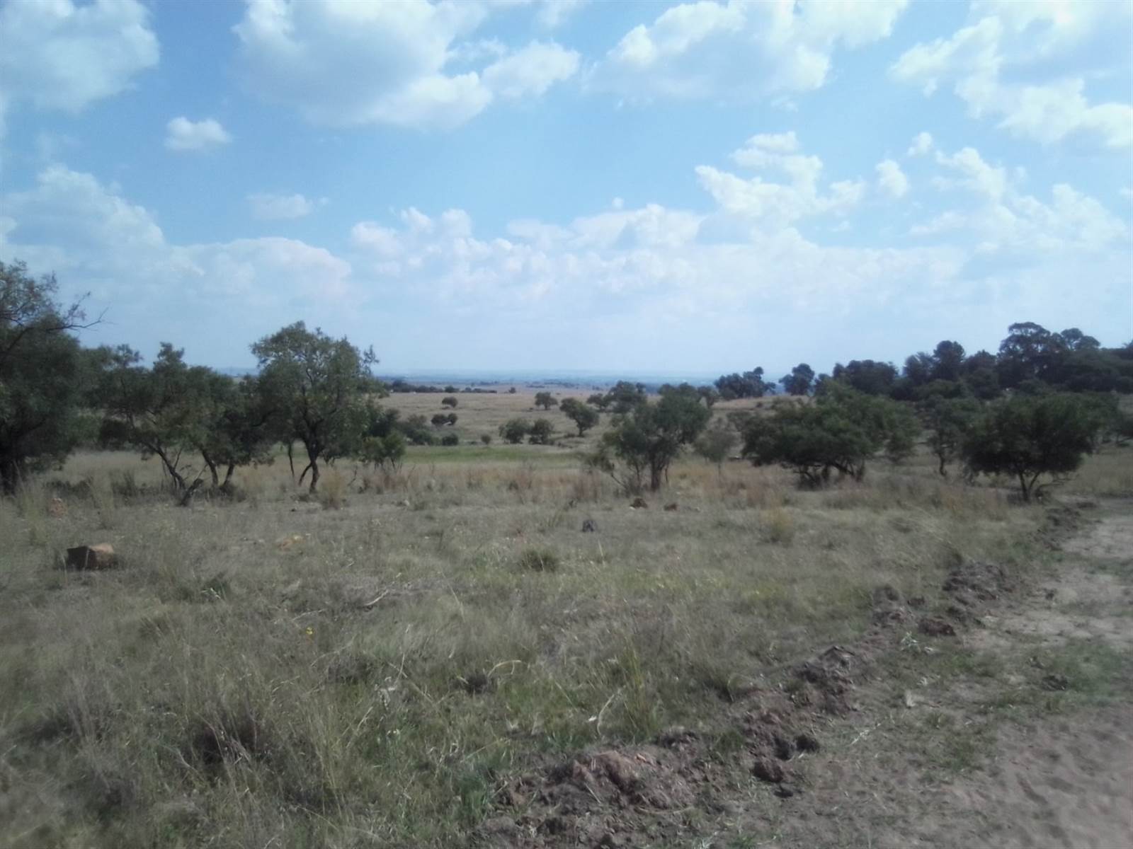 10 ha Land available in Laezonia photo number 8