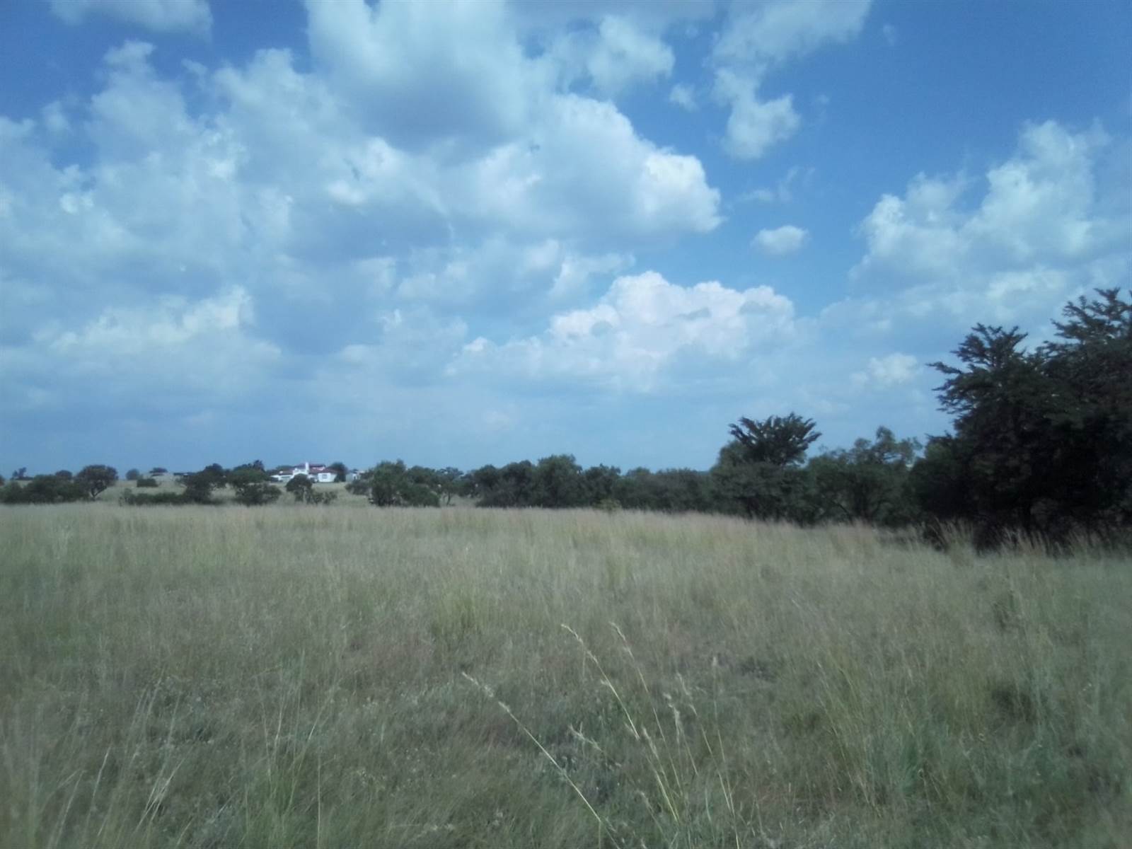 10 ha Land available in Laezonia photo number 11