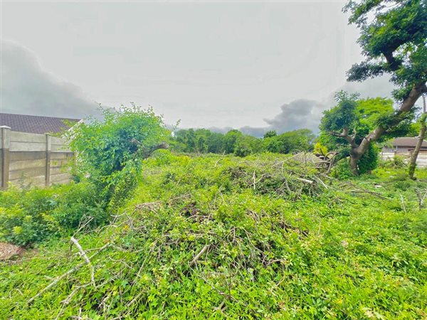 1074 m² Land available in Birdswood