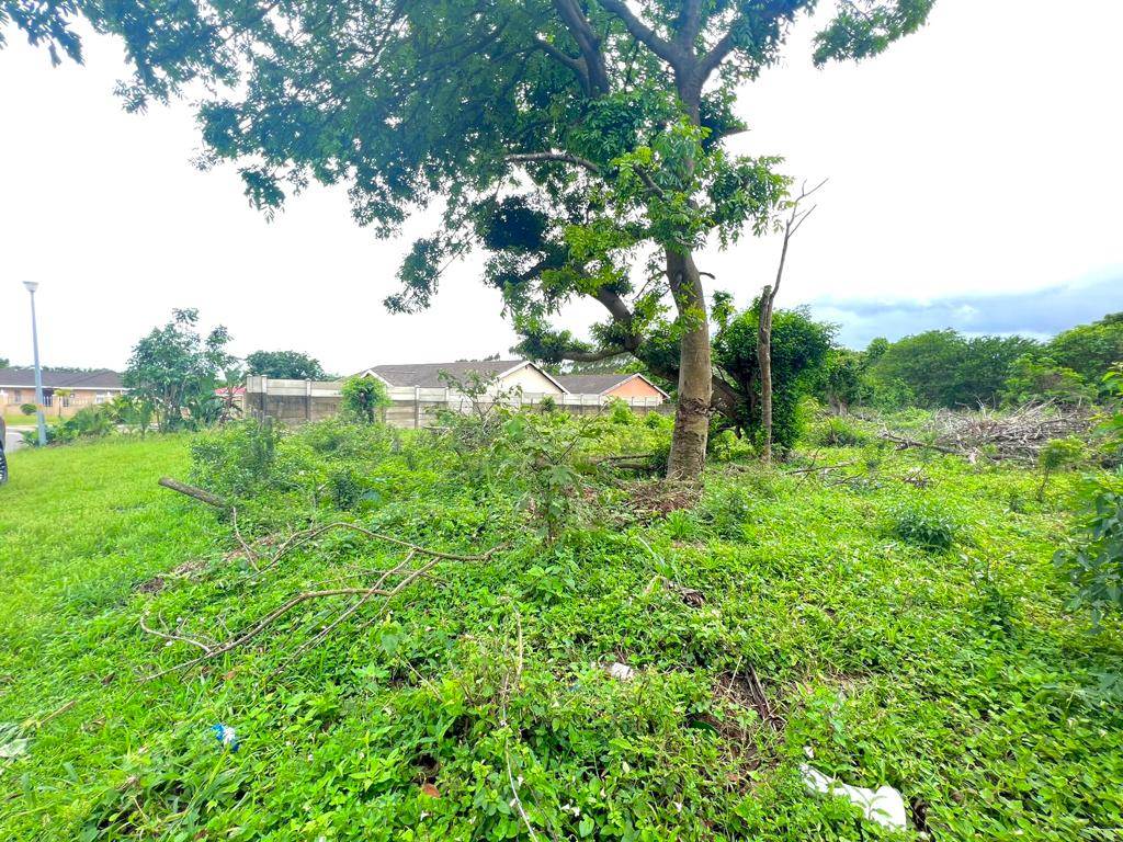 1074 m² Land available in Birdswood photo number 3