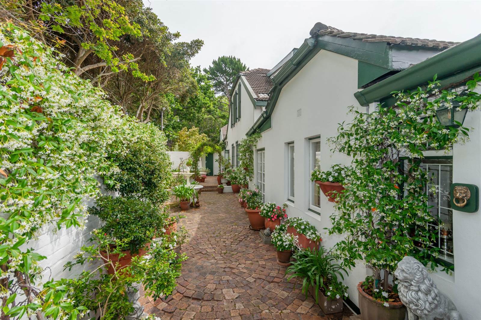 4 Bed House in Constantia Upper  photo number 5