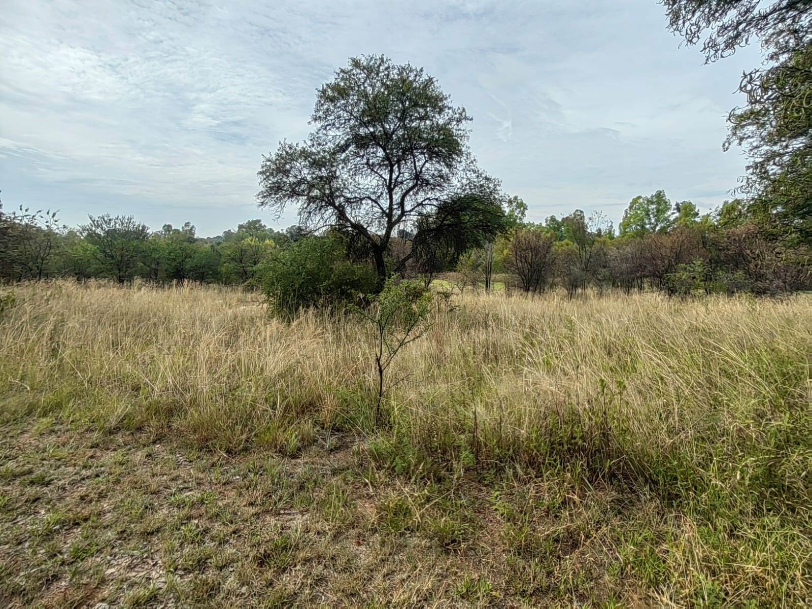 778 m² Land available in Parys photo number 5