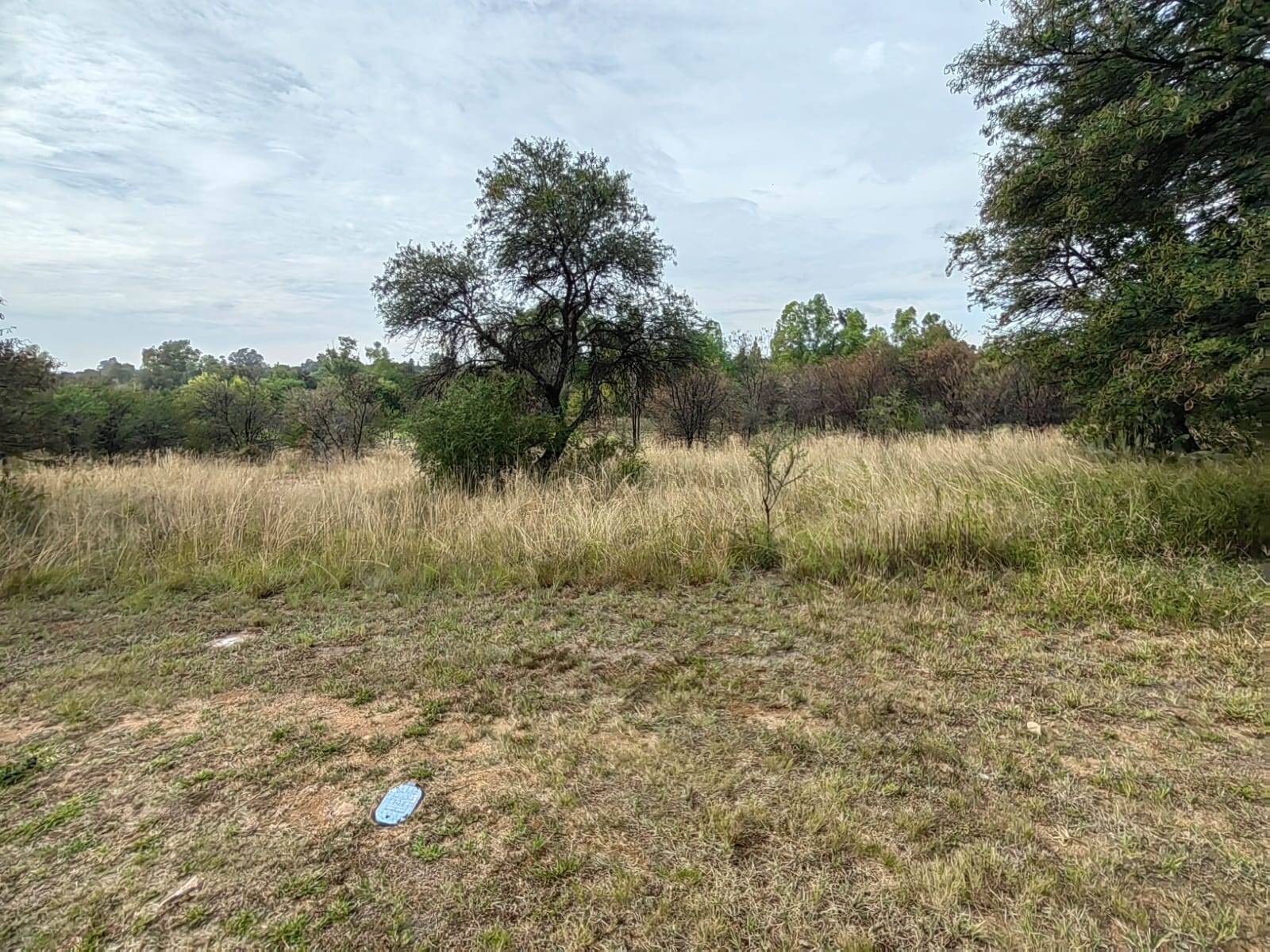 778 m² Land available in Parys photo number 6