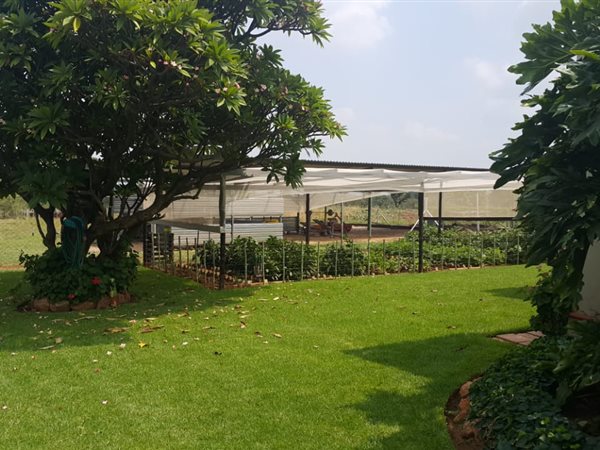 21 ha Farm