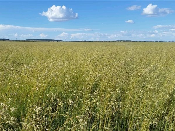 428 ha Farm 428 ha Farm