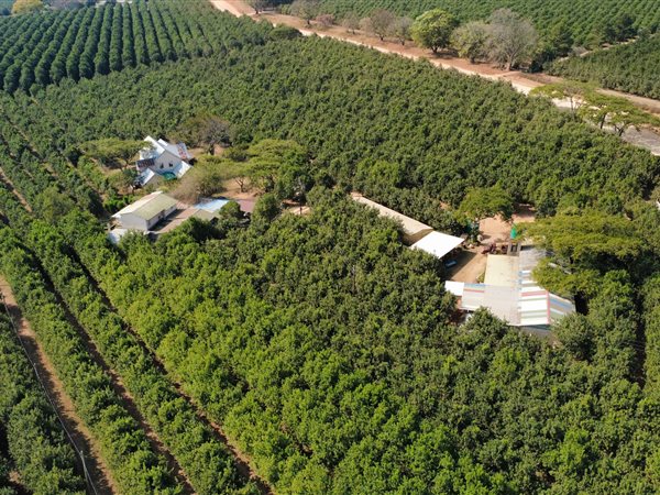 4.3 ha Smallholding 4.3 ha Smallholding