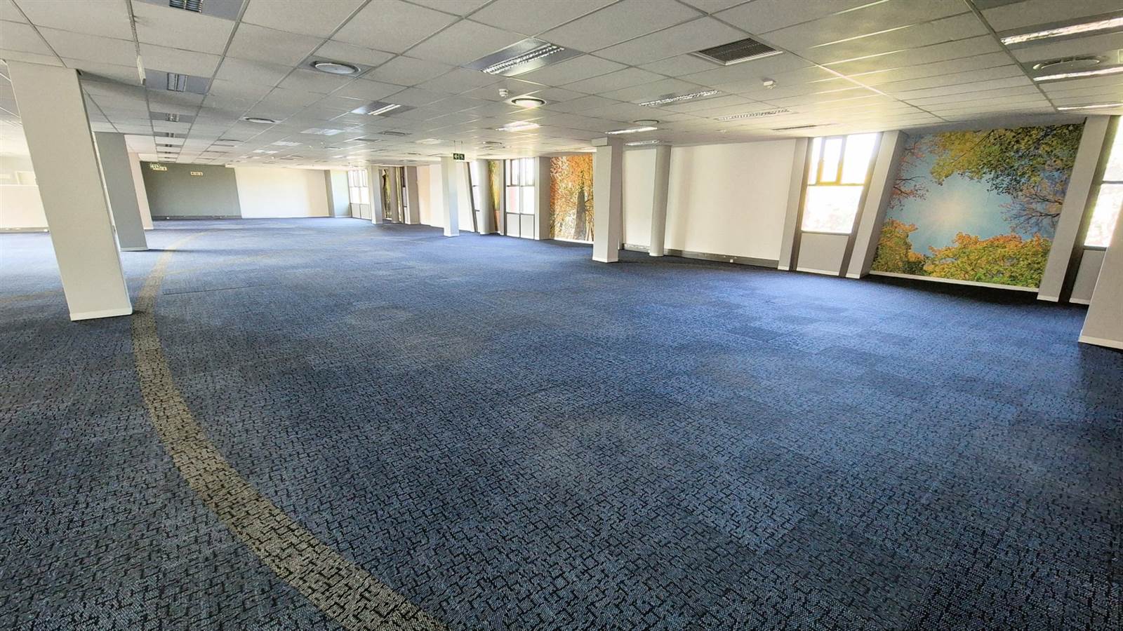 895  m² Office Space in Ashlea Gardens photo number 10