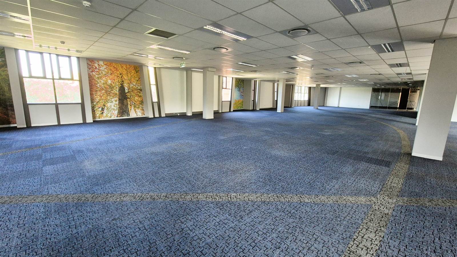 895  m² Office Space in Ashlea Gardens photo number 9