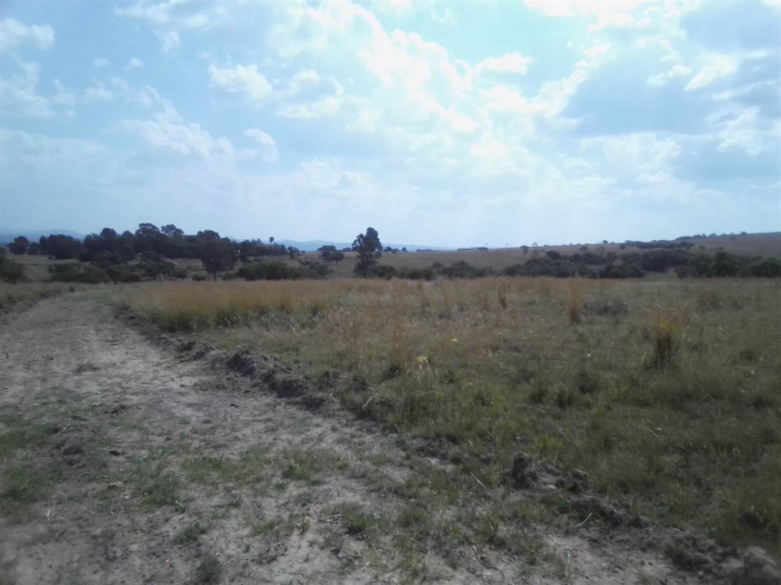 2.5 ha Land available in Laezonia photo number 6