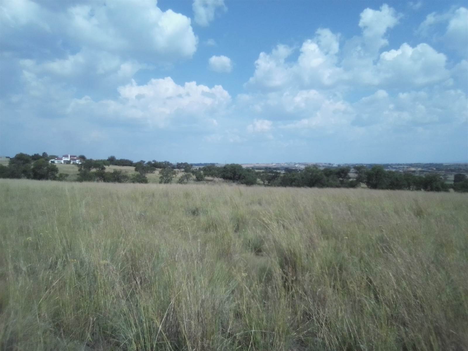 2.5 ha Land available in Laezonia photo number 2