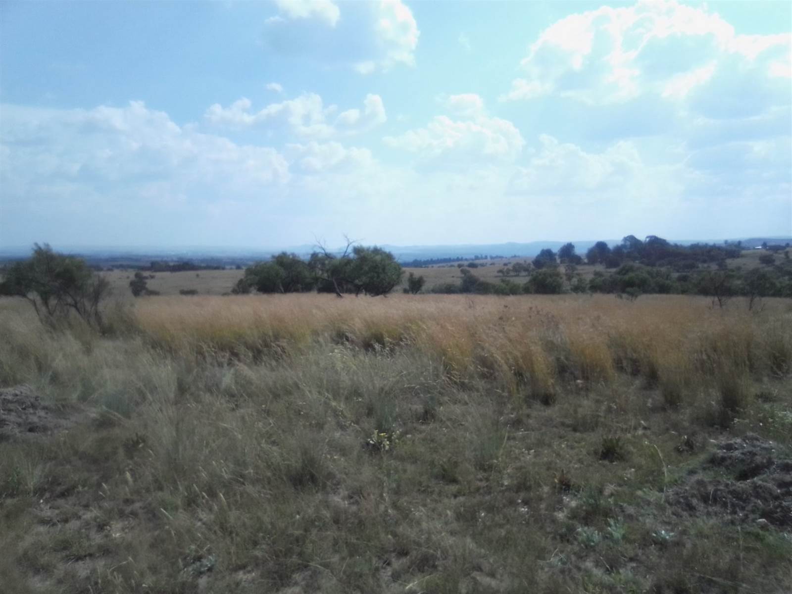 2.5 ha Land available in Laezonia photo number 16
