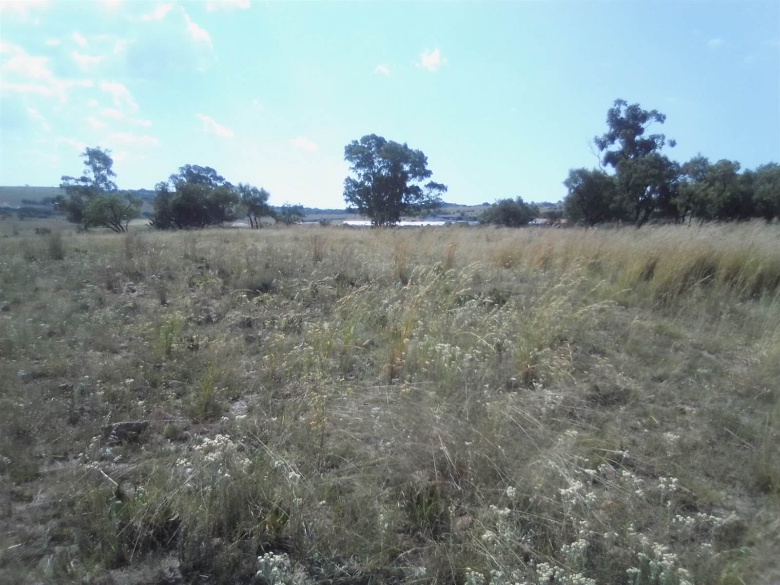 2.5 ha Land available in Laezonia photo number 8