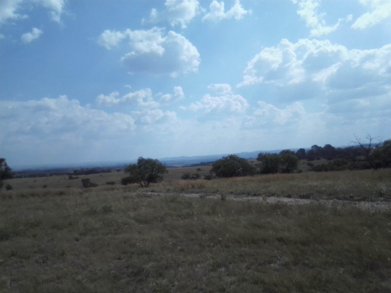 2.5 ha Land available in Laezonia photo number 17