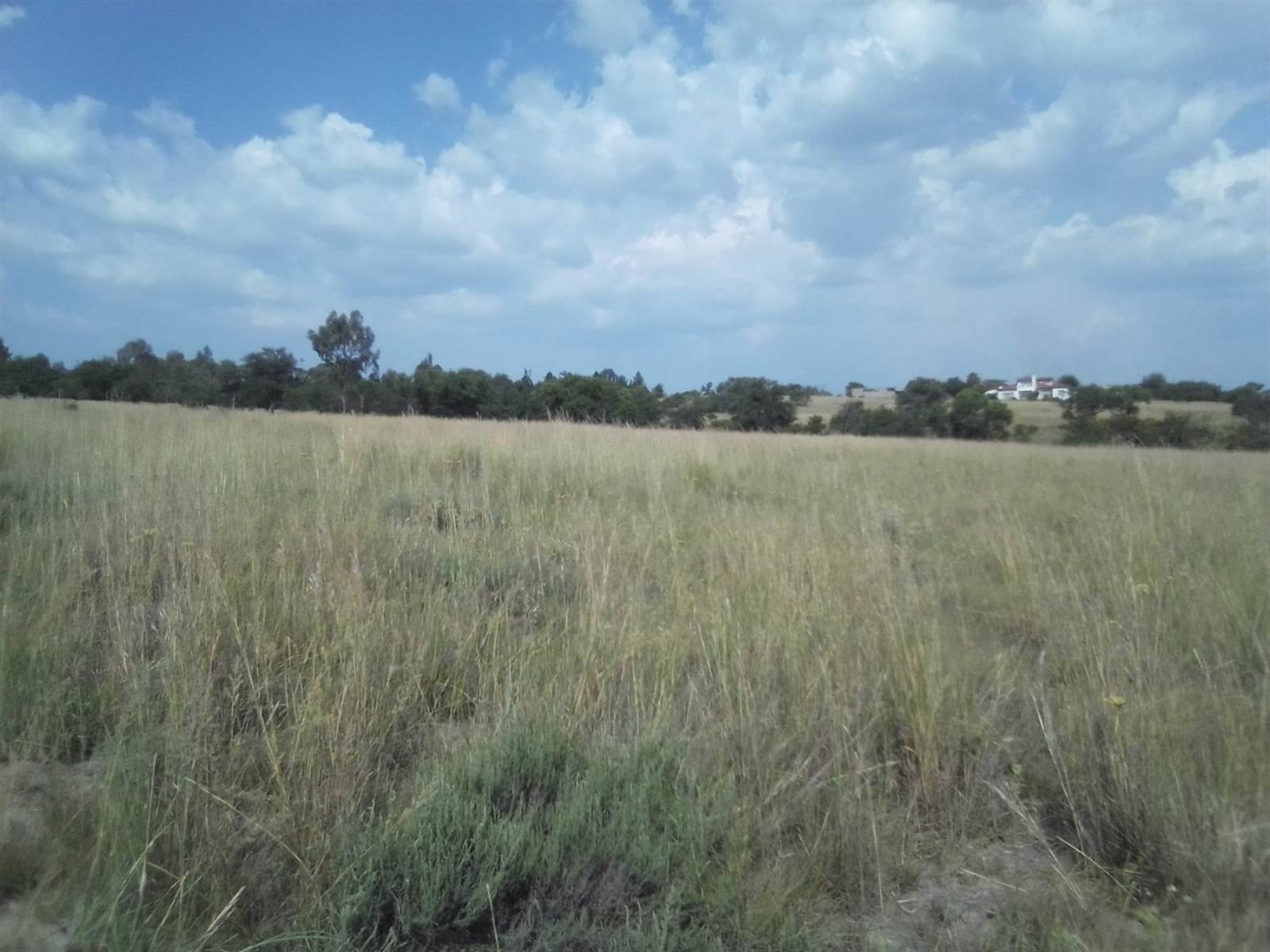 2.5 ha Land available in Laezonia photo number 3