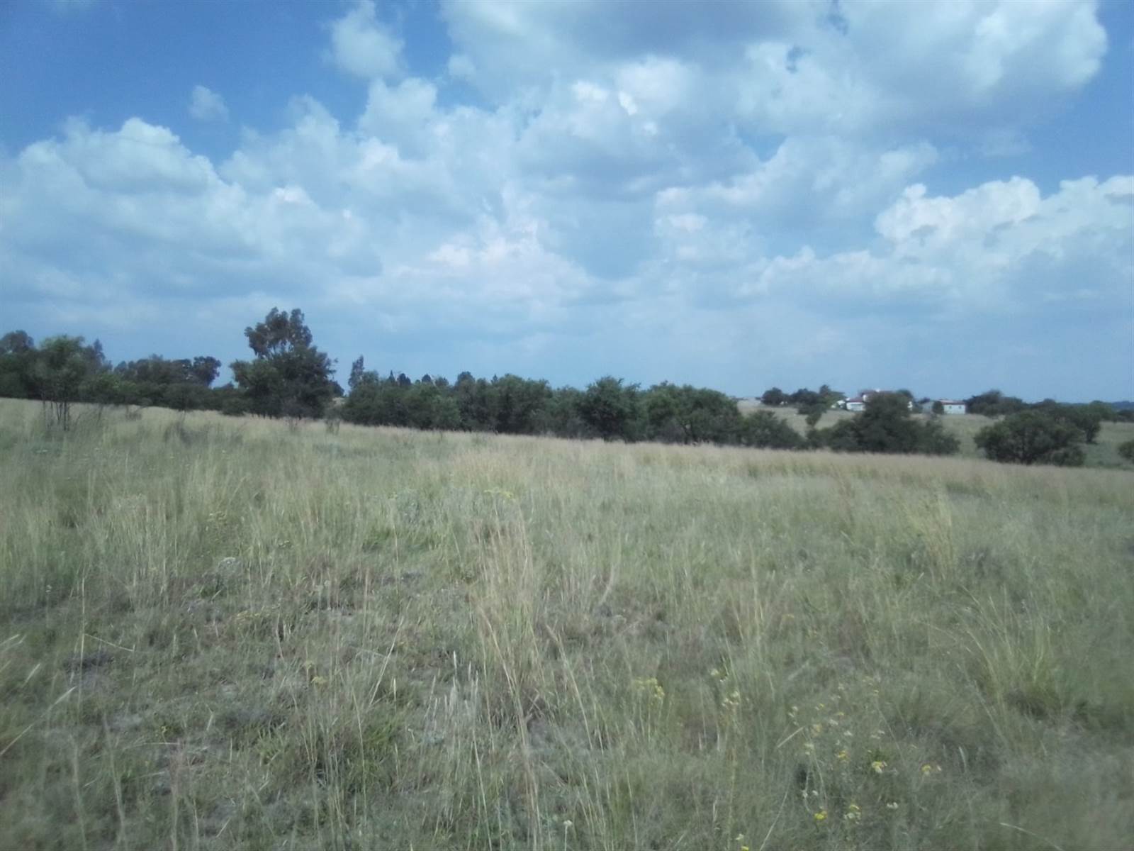 2.5 ha Land available in Laezonia photo number 4