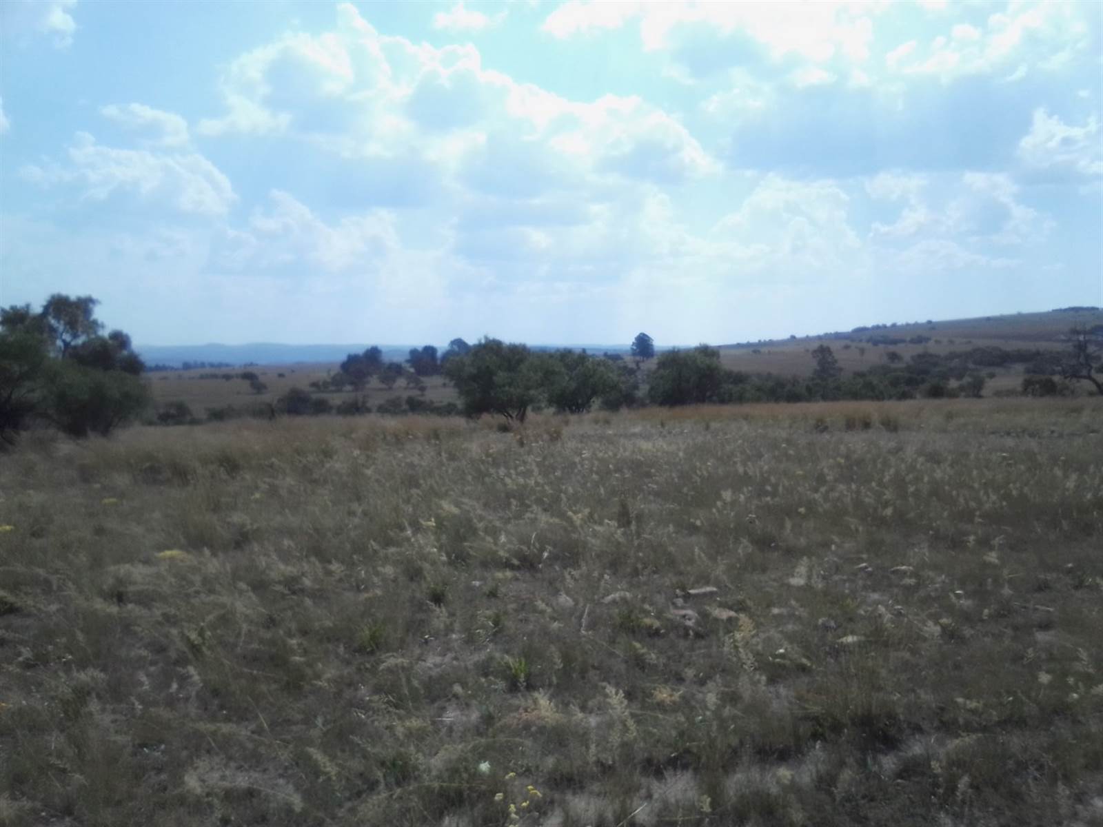 2.5 ha Land available in Laezonia photo number 18