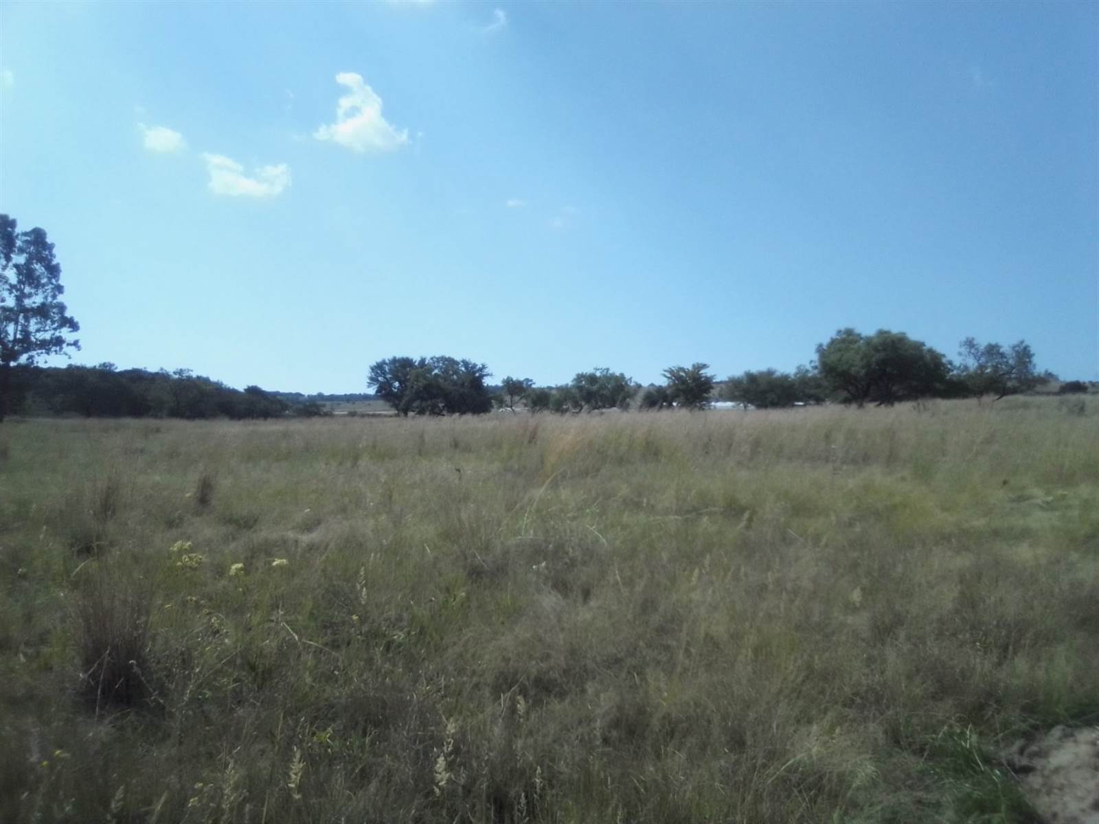 2.5 ha Land available in Laezonia photo number 11