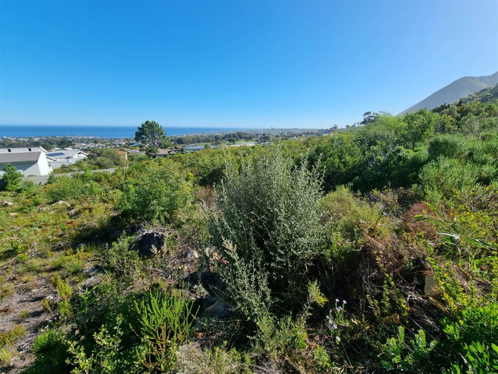 2035 m² Land available in Chanteclair photo number 6