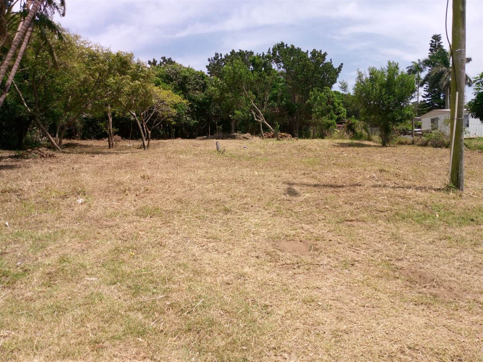 1345 m² Land available in Woodgrange photo number 3