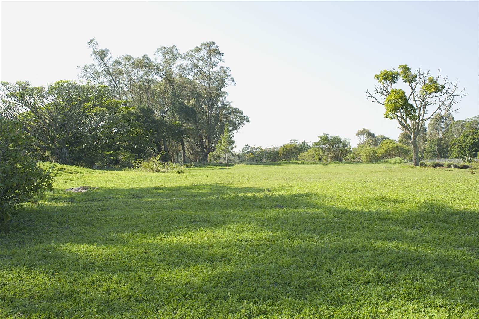 375 m² Land available in Wedgewood Golf Estate photo number 6