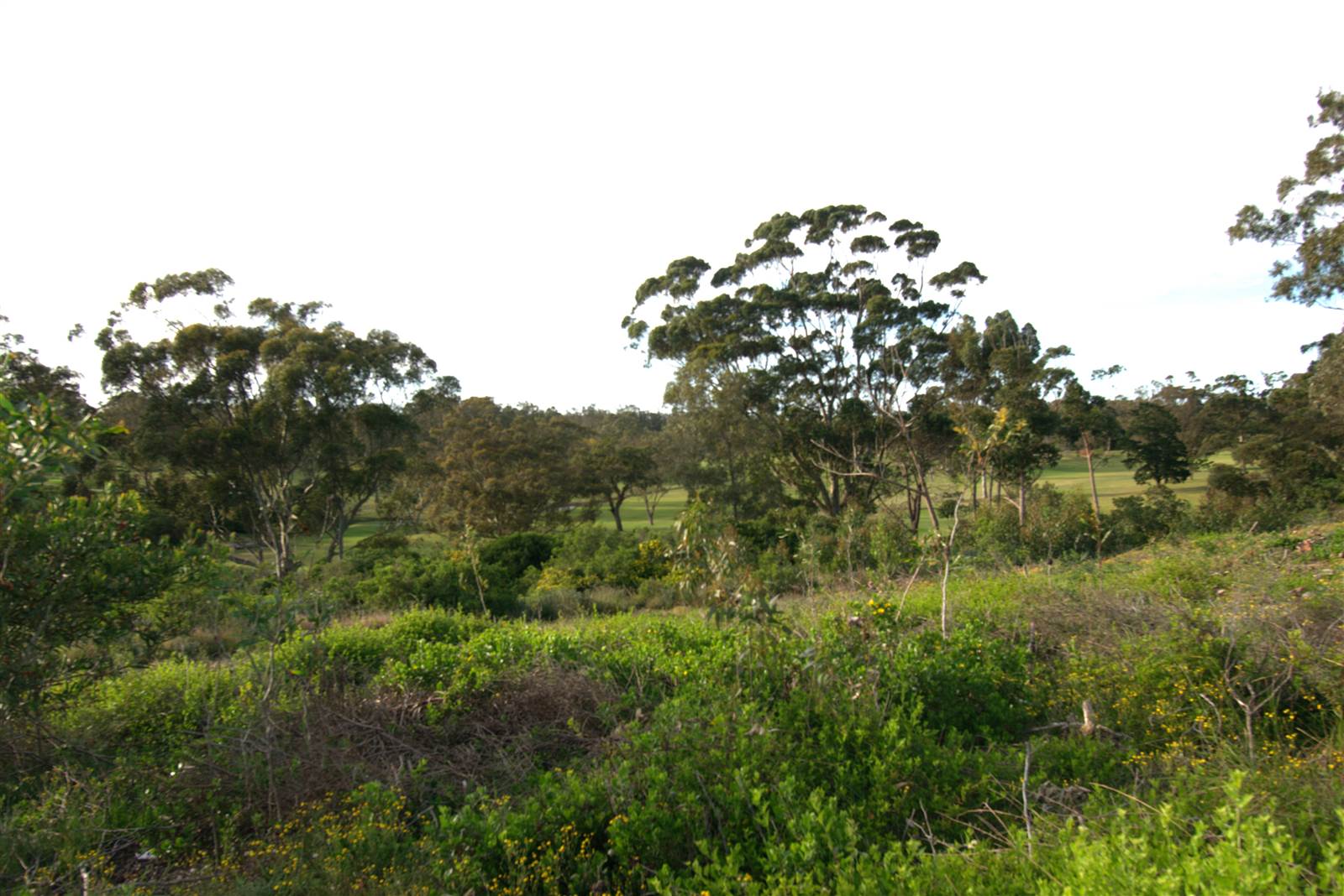 375 m² Land available in Wedgewood Golf Estate photo number 4
