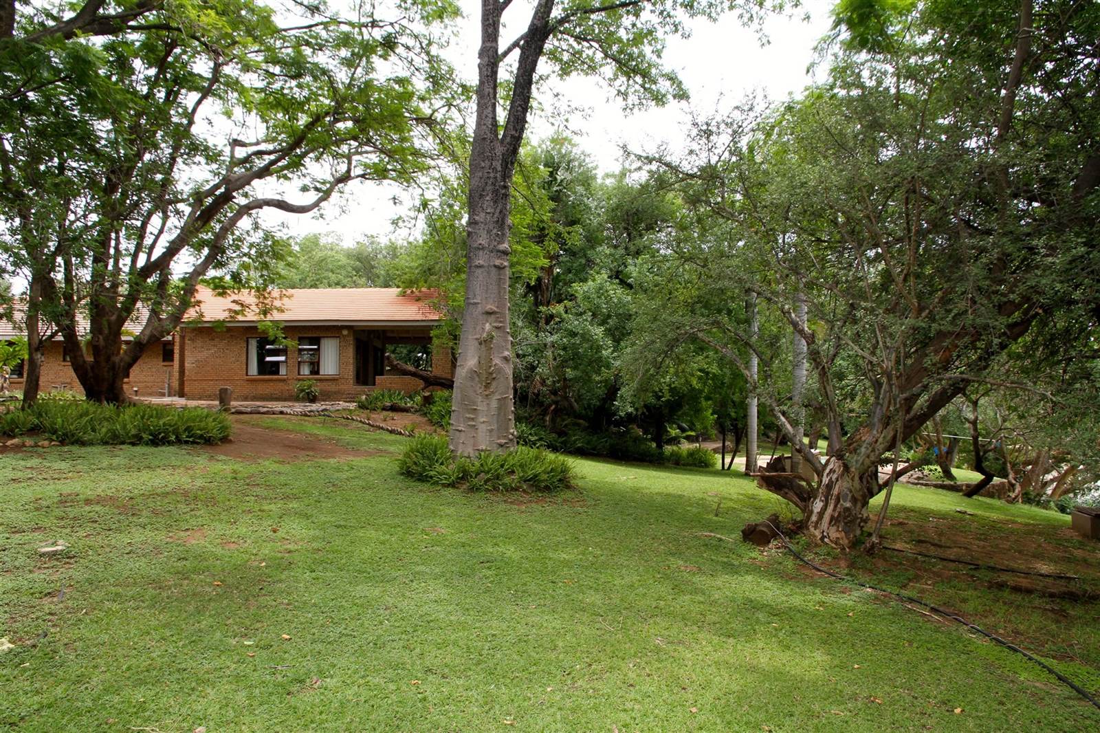 4 Bed House in Ndlovumzi photo number 22