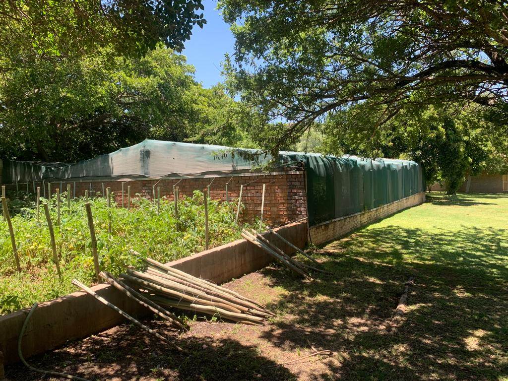 2.3 ha Smallholding in Hartbeesfontein photo number 19
