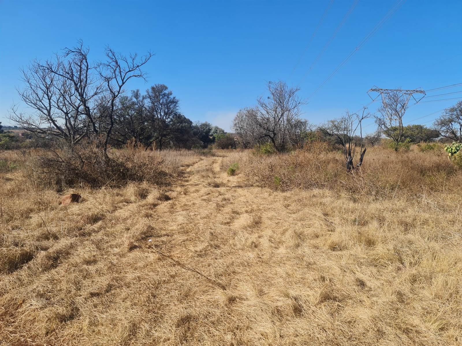 8.6 ha Land available in Tierpoort photo number 6