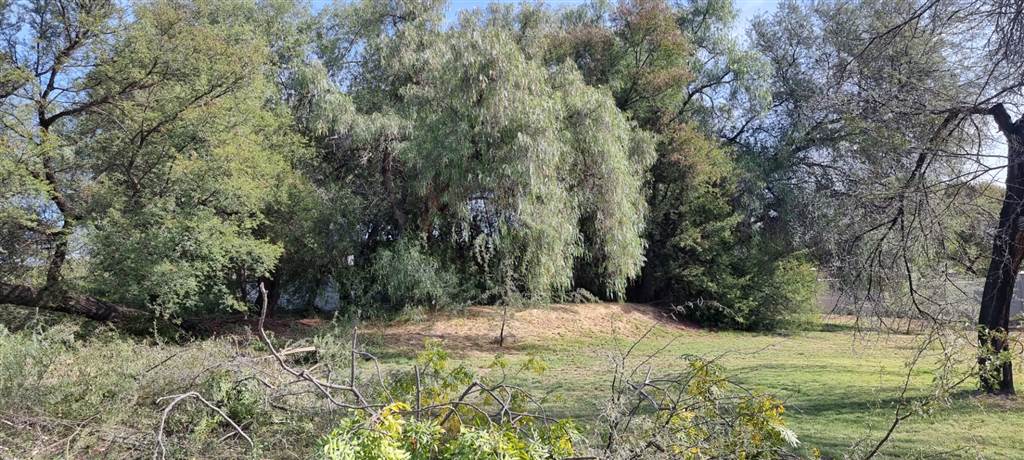 1064 m² Land available in Oudtshoorn photo number 2