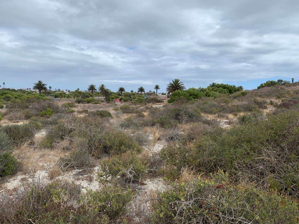 503 m² Land available in Shelley Point photo number 17