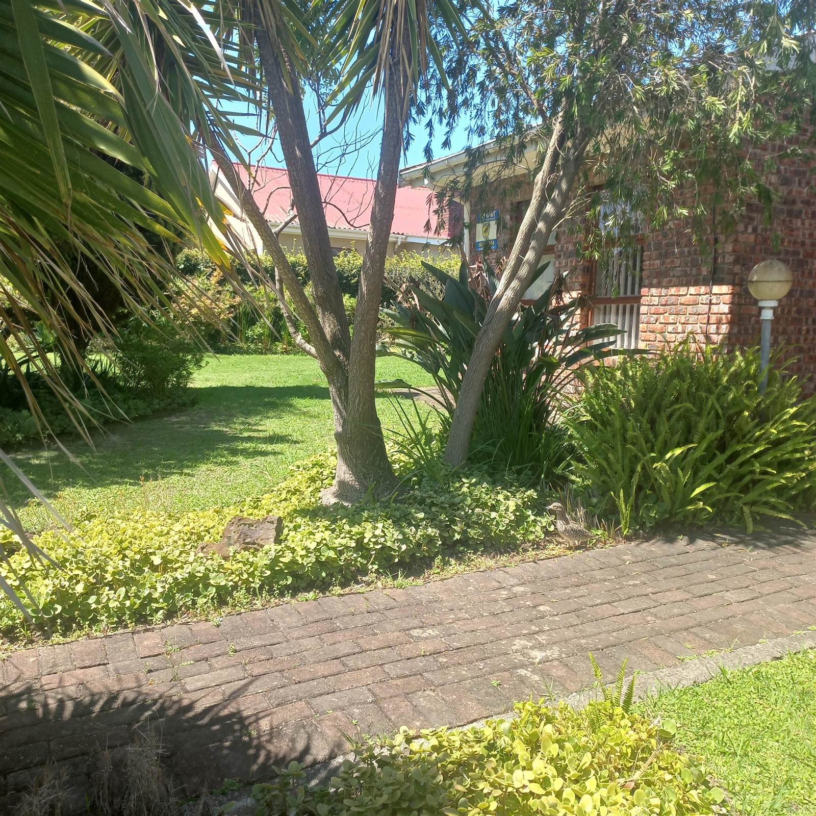 4 Bed House in Boskloof photo number 3