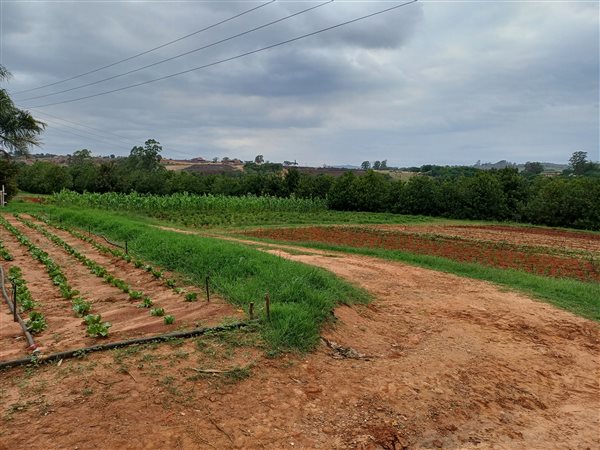 10 ha Farm