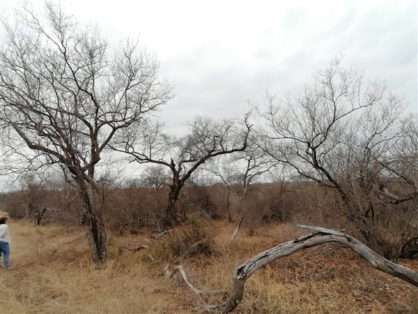 9170 m² Land available in Moditlo Nature Reserve