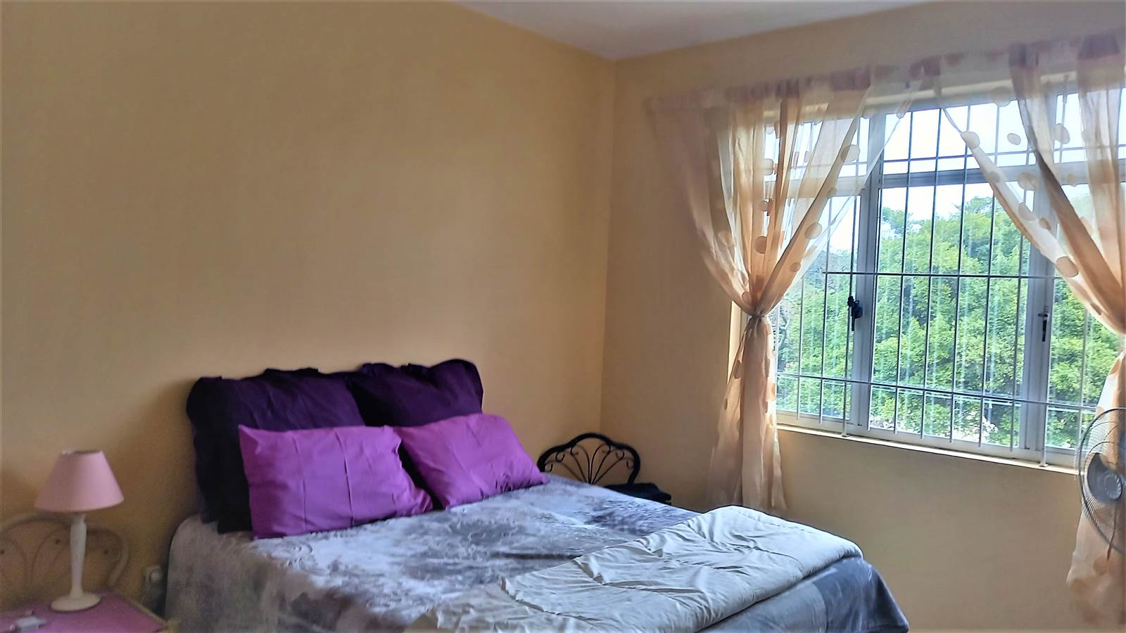 1 Bed Apartment in Glenwood photo number 4