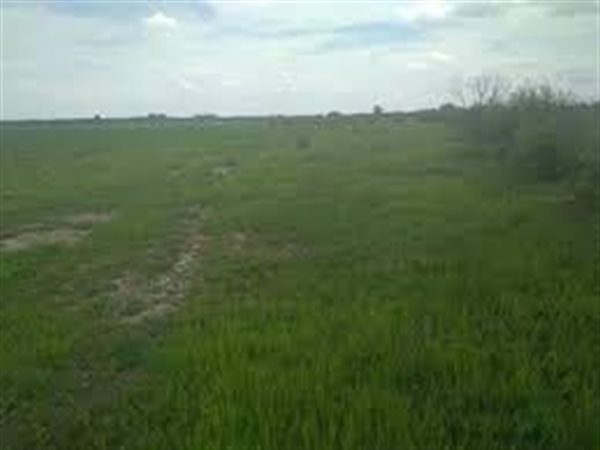 1100 m² Land available in Linden