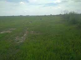 1100 m² Land available in Linden photo number 1