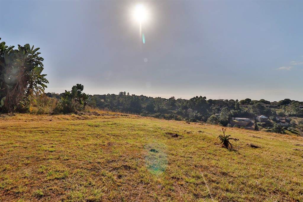 1189 m² Land available in Forest Hills photo number 7
