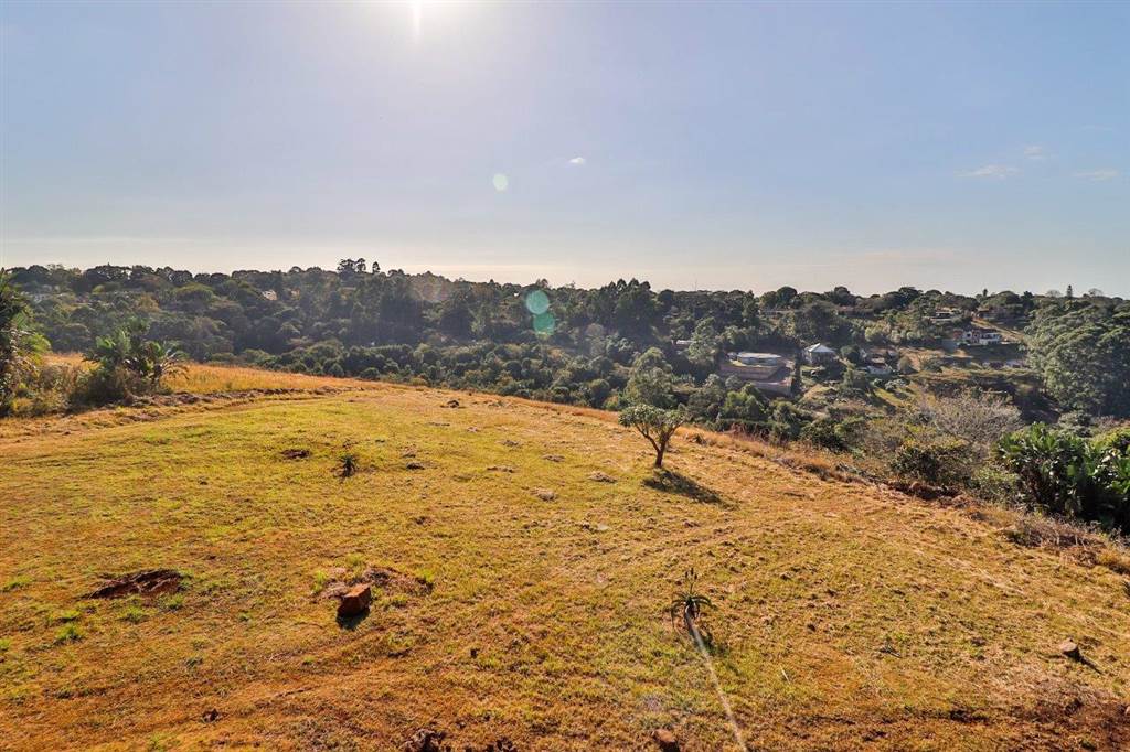 1189 m² Land available in Forest Hills photo number 8
