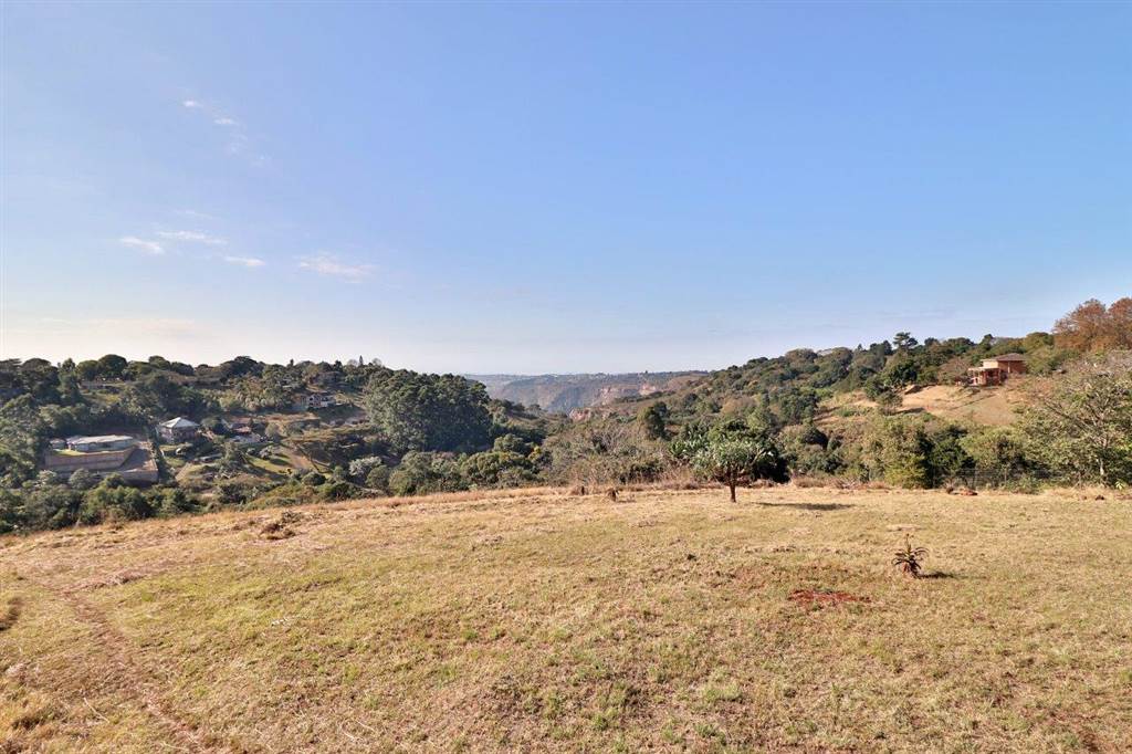 1189 m² Land available in Forest Hills photo number 6
