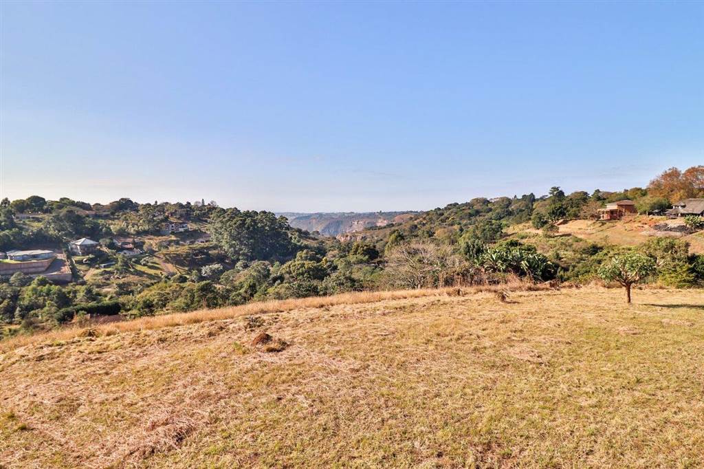 1189 m² Land available in Forest Hills photo number 9