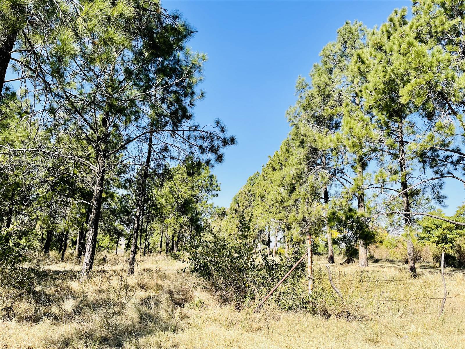 25 ha Land available in Lanseria and surrounds photo number 2