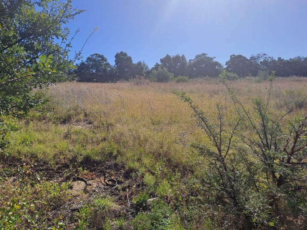 972 m² Land available in Fochville photo number 2