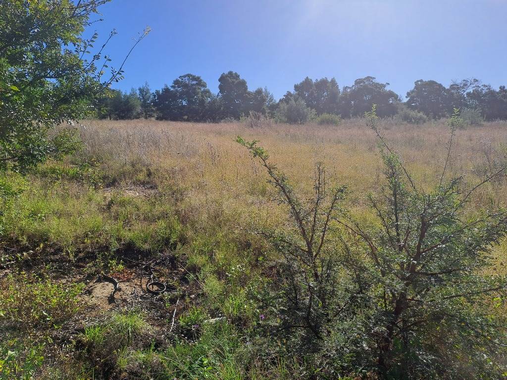 972 m² Land available in Fochville photo number 3
