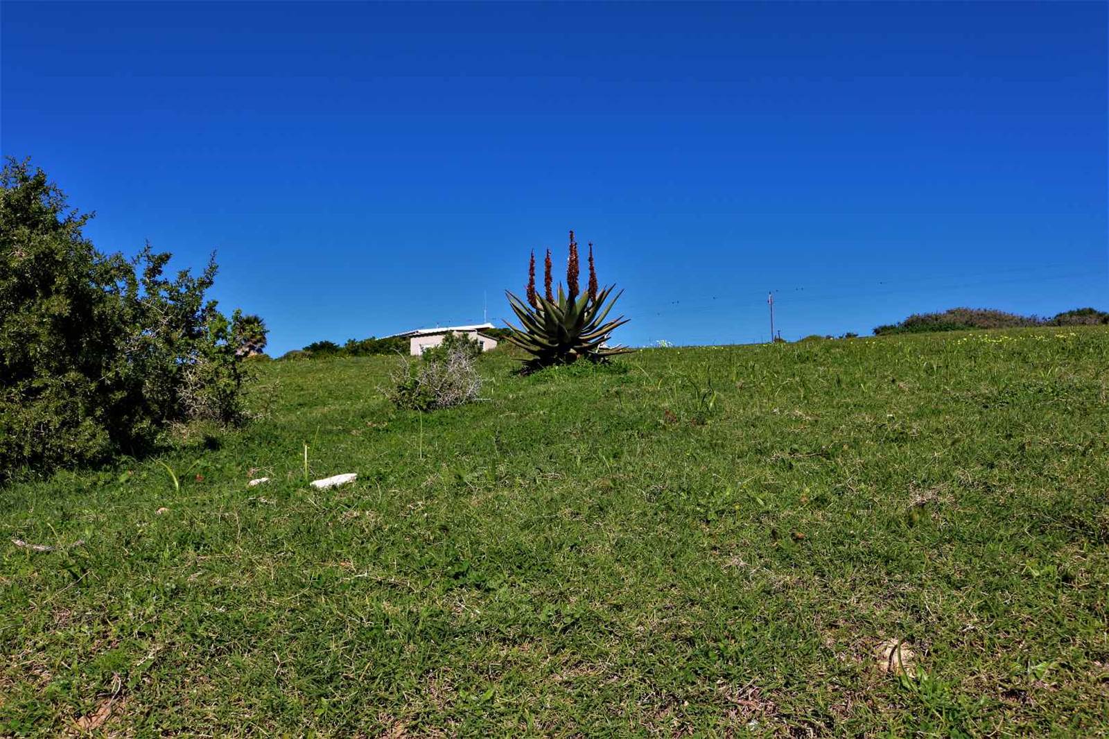 677 m² Land available in Vlees Bay photo number 6