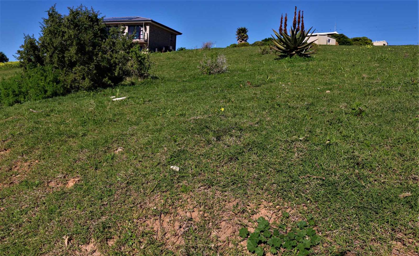 677 m² Land available in Vlees Bay photo number 4