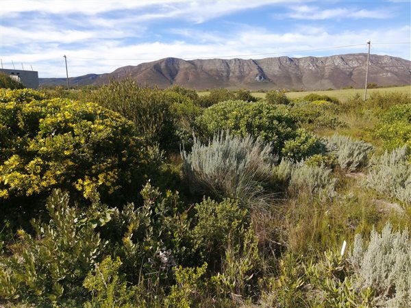 585 m² Land 585 m² Land