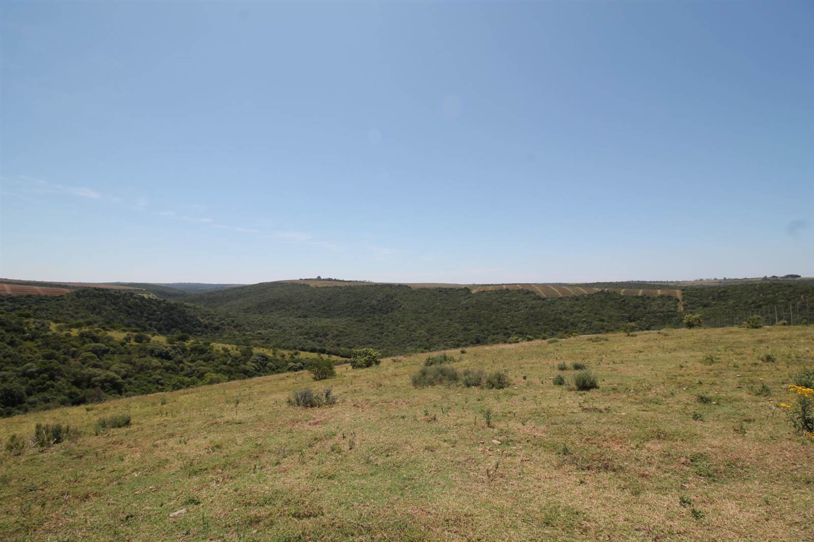 380 ha Farm in Bathurst and Surrounds photo number 17