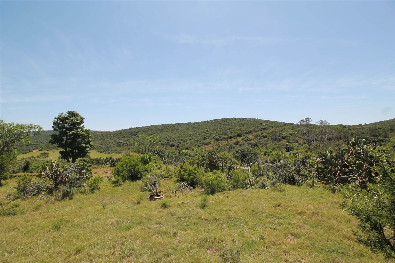 380 ha Farm in Bathurst and Surrounds photo number 30