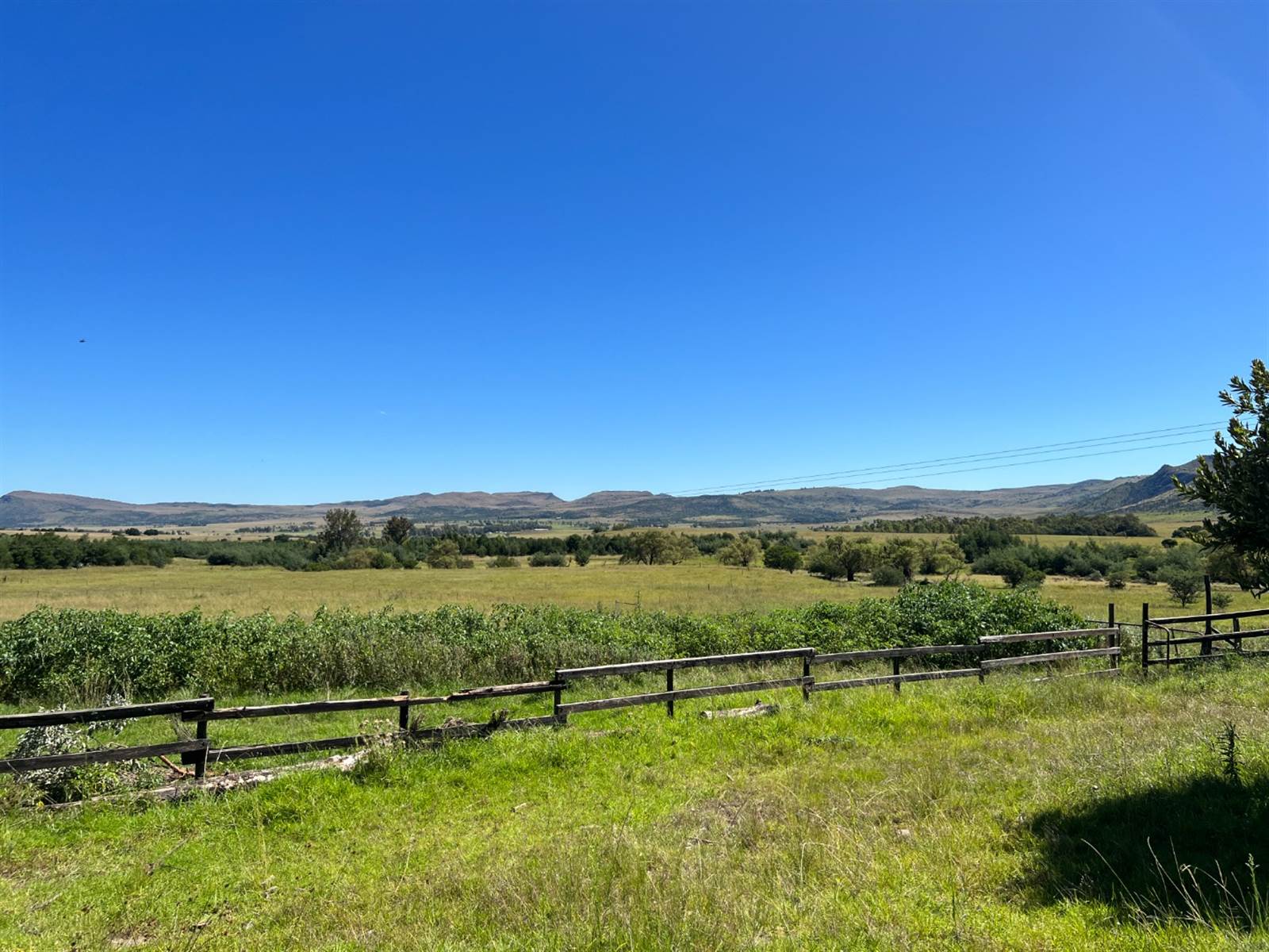 797.4 ha Farm in Queenstown photo number 4