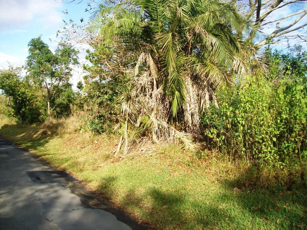 2107 m² Land available in Southbroom photo number 1